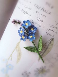 two blue flowers sitting on top of a piece of paper