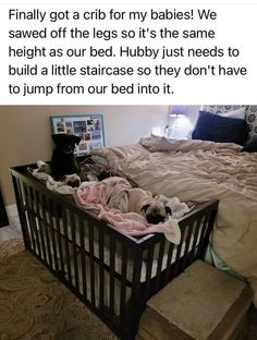 a dog laying in a crib on top of a bed next to a pile of blankets