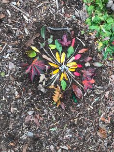 Halloween Wreath