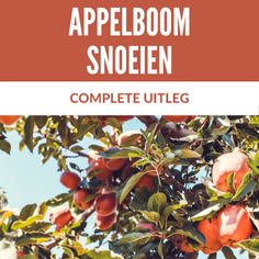 an apple tree with apples growing on it's branches and the words, appelboom snoeien complete utileg