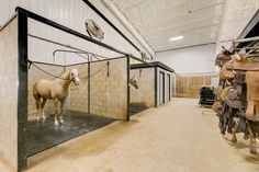 there is a horse that is standing in the stall