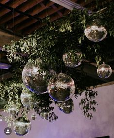 several disco balls hanging from the ceiling in front of a tree with leaves on it