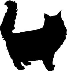 a black cat silhouetted against a white background