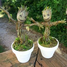 two small potted plants with faces on them