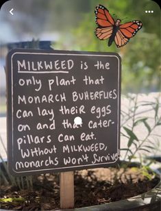 a sign that says milkweed is the only plant that monarch butterflies can lay their eggs on and eat