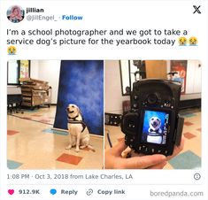 a person holding up a camera with a dog on it's screen and the caption reads i'm a school photographer and we got to take a service dog's picture for the yearbook today