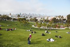 many people are sitting on the grass in a park with palm trees and buildings in the background