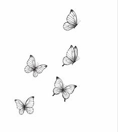 four butterflies flying in the air with one on top of it's head and another on