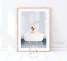 a dog sitting in a bathtub with bubbles