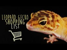 a leopard gecko shopping list with the text leopard gecko shopping list