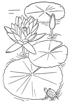 a black and white drawing of a water lily with a frog on it's back