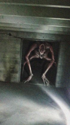 a creepy looking animal is in the middle of a tunnel