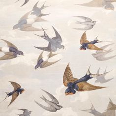 a flock of birds flying through the air on a white background with grey and gray clouds