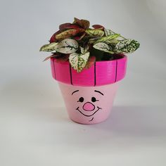 a potted plant with a face painted on it's side and leaves growing out of the top