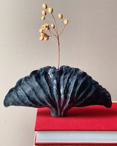 a small plant is growing out of an old shell on top of some book pages