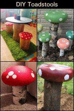 four different types of toadstools sitting on the ground