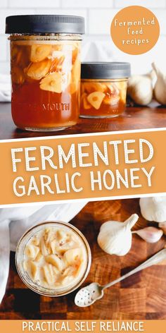 homemade fermented garlic honey in a mason jar Garlic And Honey Benefits, Fermented Honey Garlic, Raw Honey Recipes, Fermented Garlic Honey, Fermented Garlic, Fermented Honey, Garlic Honey, Fermented Veggies, Garlic Benefits