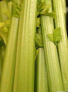 celery stalks with green leaves on them