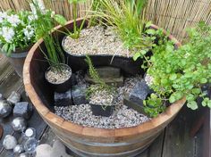 a wooden barrel filled with plants and rocks