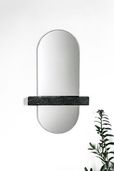 a mirror hanging on the wall next to a potted plant