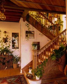 a living room filled with lots of plants next to a wooden stair case covered in potted plants