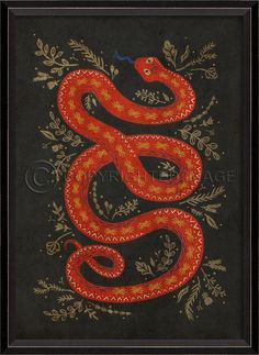 Spicher & Company BC The Protector Snake on black 11972 Snake Painting, Snake Illustration, Snake Art, Spiritual Artwork, Animal Illustrations, The Protector, Illustrator Artist, Mystical Art, Art Prompts