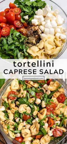 tortellini caprese salad with tomatoes, spinach and mozzarella