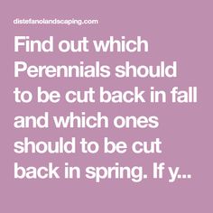 the words find out which perennials should to be cut back in fall and which ones should