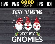 two gnomes with christmas hats on their heads and the words just hanging with my gnomies