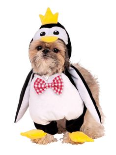 a dog dressed in a penguin costume with a bow tie and yellow rubber ducky shoes