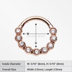 Rose Gold Bubble Glam Sparkles Seamless Clicker Hoop Ring-Clear Hypoallergenic Rose Gold Hoop Septum Ring, Rose Gold Internally Threaded Hoop Septum Ring, Internally Threaded Rose Gold Nose Ring, Adjustable Rose Gold Hoop Septum Ring, Internally Threaded Rose Gold Hoop Nose Ring, Internally Threaded Rose Gold Septum Ring, Septum Piercings, Smiley Piercing, Gold Bubbles