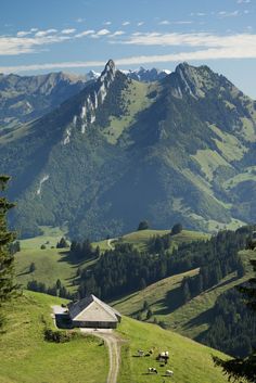 a dirt road going through the middle of a lush green valley with mountains in the background