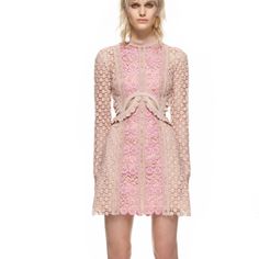 Brand New With Tags And Labels. Missing Care Labels. Gorgeous Dress For Any Occasions. Thanks Patchwork Runway, Night Club Dresses, Autumn Woman, Dresses Autumn, Lace Panel Dress, Portrait Dress, Cutout Mini Dress, Mini Dress Pink, Pink Embroidery