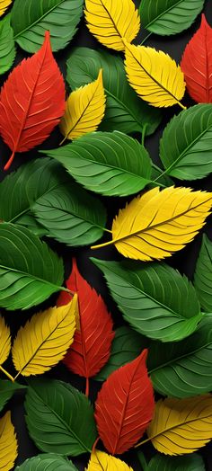 many different colored leaves are arranged together on the black surface with green, yellow and red leaves