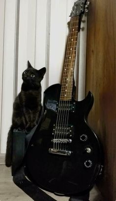 a black cat sitting on top of a guitar case next to a wall with white paneling