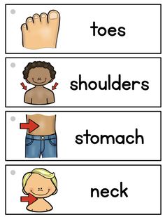 three different types of body parts and their names