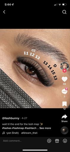 Lash Extensions Styles Names, Fluffy Classic Lash Extensions Map, Wispy Hybrid Lashes Mapping, Lashes Extension Styles, Fluffy Hybrid Lash Extensions Map, Mapping For Hybrid Lashes, Cc Curl Lash Extensions Map, Hybrid Natural Lash Extensions Map, Small Eye Lash Extensions Mapping