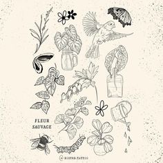 a bunch of different flowers and plants on a white background with the words feuer sattage