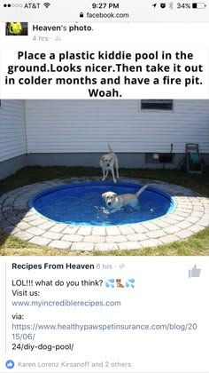 two dogs playing in a pool with the caption that reads, this is a little kiddie pool with water in the shade you take it when it gets cold out