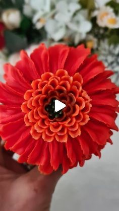 a person holding a red flower in front of some white and green flowers with a video playing on it