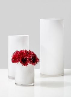 two white vases with red flowers in them