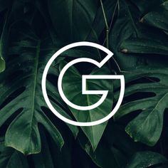 the letter g is surrounded by leaves and greenery in white on a dark background