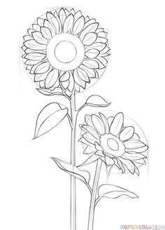 an iphone screen showing how to draw a sunflower step by step with the app