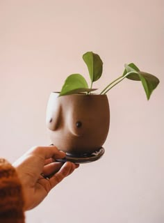 a person holding a potted plant in it's hand with a small plate