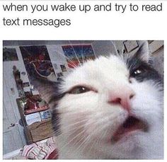 a white and black cat looking up at the camera with caption that reads, when you wake up and try to read text messages