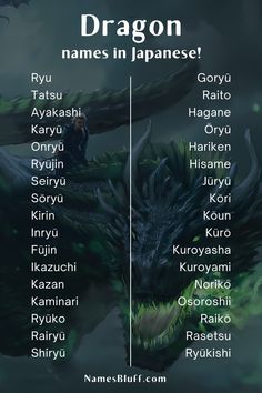 an image of the names in japanese characters and their respective dragon heads, which appear to be