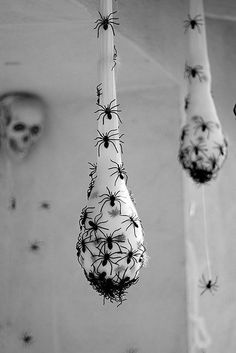 a spider webcam hanging upside down from the ceiling with black and white images on it