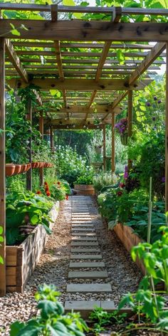 an outdoor garden with lots of plants and flowers on the ground, along with steps leading up to a pergolated area