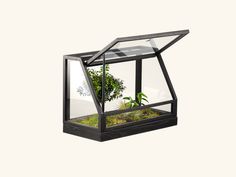 a glass box with plants inside it on a white background, there is no image here to provide a caption for