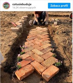 a man kneeling down next to a brick walkway in the dirt with flowers growing on it